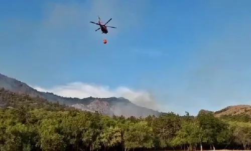 incendiu de vegetatie in Tulcea foto isu png