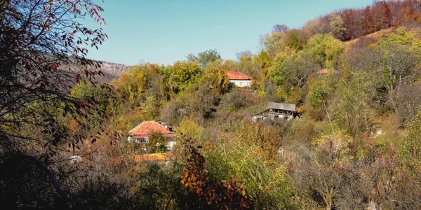 buzau