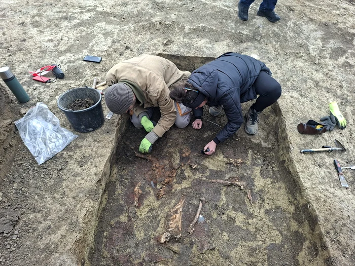 Au fost descoperite numeroase schelete FOTO Cosmin Zamfirache