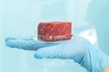 carne falsă  sursă   Shutterstock jpg