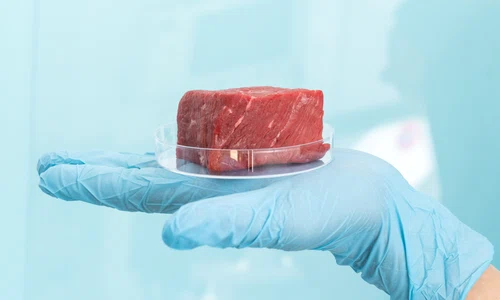 carne falsă  sursă   Shutterstock jpg