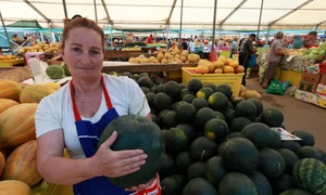 Pepenele se bate în coajă cu mișcări ușoare, iar fructul trebuie să vibreze ușor în interior jpeg