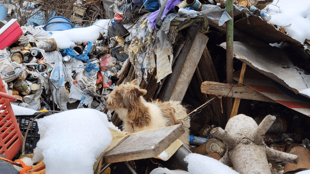 „#faragunoaie: Dreptul la un mediu sănătos”, o campanie lansată de Asociația de Ecoturism din România VIDEO