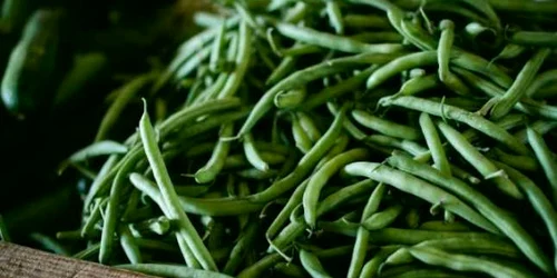 Cum alegi şi conservi fasolea verde