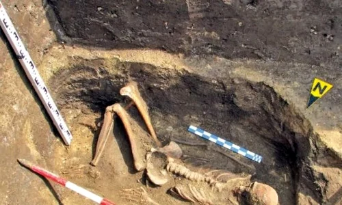 Tutankamon de România: mormânt de 4 500 de ani, descoperit în Prahova jpeg