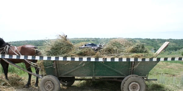 trafic tigari galati
