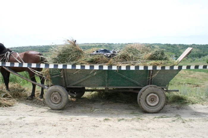 Ţigările erau acoperite cu fân. Foto: Poliţia de Frontieră