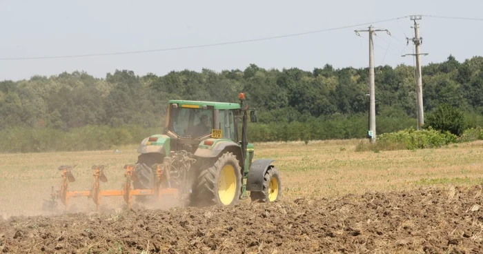 Agricultorii suţin că dacă ploile nu vor veni în curând, culturile se vor distruge   FOTON arhivă