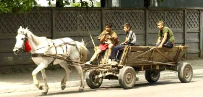 Hunedoara: Copii la un pas de moarte după ce s-au răsturnat cu căruţa