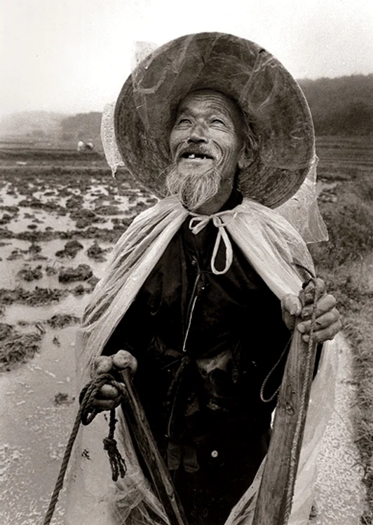Fermier, 1982