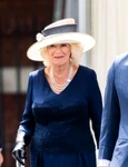 Regele Charles, Camilla Parker jpeg