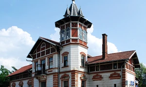 RO SV Vatra Dornei railway station 1 jpg