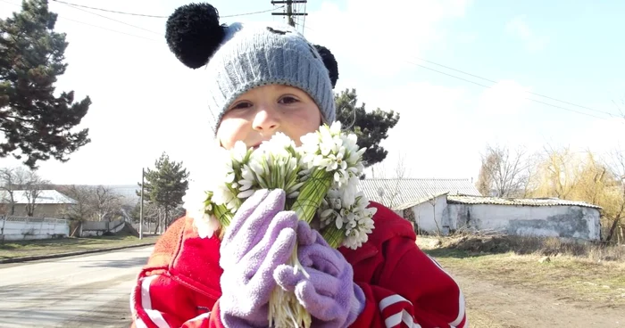 Ancuţa oferă trecătorilor puţină primăvară FOTO Mariana Iancu