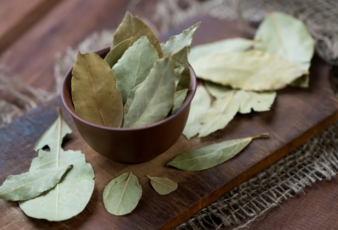 Frunzele de dafin fac bine celor care suferă de anxietate, boli digestive sau inimă. Foto: Shutterstock