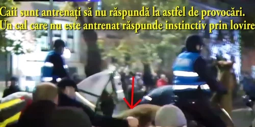 cai jandarmi proteste