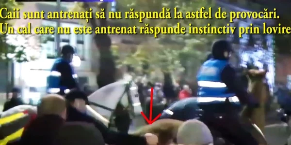 cai jandarmi proteste