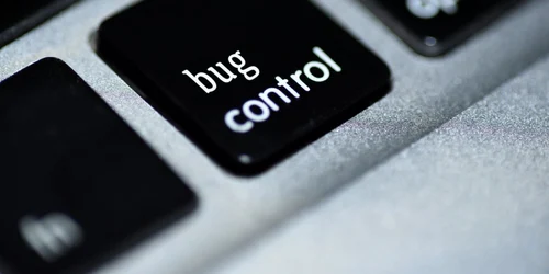 Control al bug-urilor vulnerabilitatilor online FOTO Shutterstock