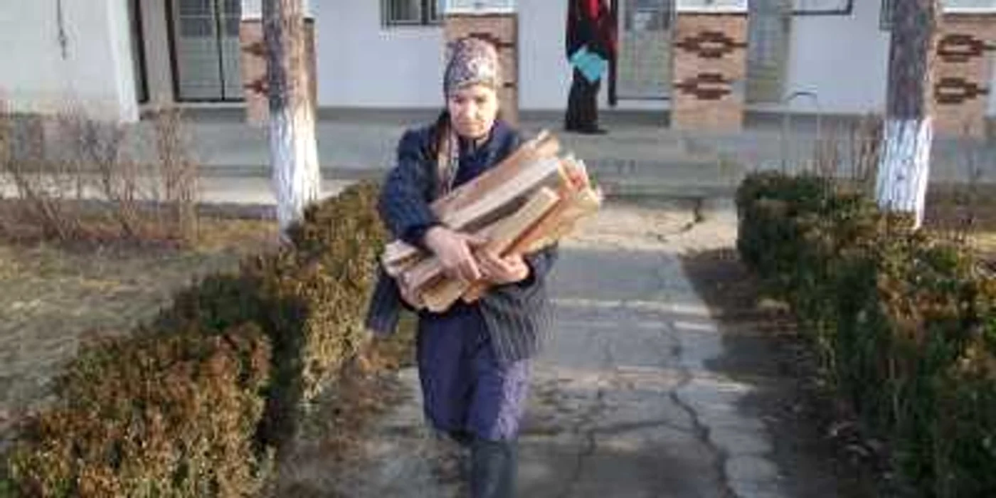 Zeci de mii de băcăuani de la sate au pierdut banii pentru lemne