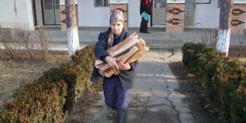 Zeci de mii de băcăuani de la sate au pierdut banii pentru lemne