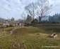 Satul Răscoala din Hunedoara Foto Daniel Guță ADEVĂRUL (13) jpg