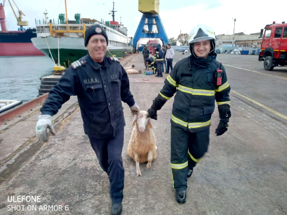 Oile sunt salvate de autorităţi