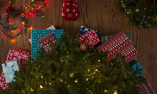 1 altex clickptfemei jpg jpeg