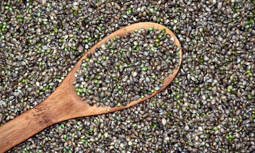 1 semintele care te scapa de diabet si te ajuta sa slabesti rapid jpg jpeg