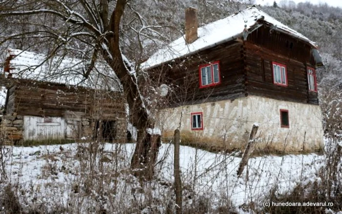 runcu mare foto daniel guta adevarul