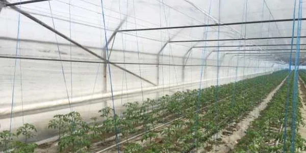 Toţi fermieri vor fi obligaţi prin lege să îşi eticheteze produsele vândute în pieţe