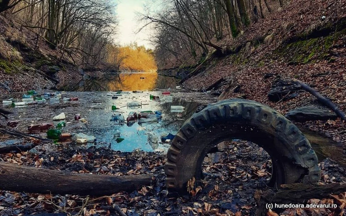 lacul cincis foto daniel guta adevarul