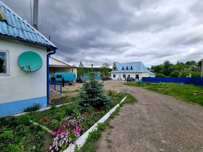 dumitru morhan suceava