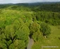 Comuna Bătrâna din Hunedoara Foto Daniel Guță ADEVĂRUL (184) JPG