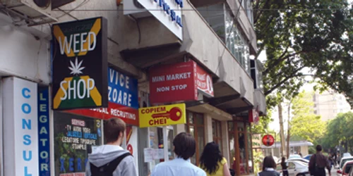 Iaşi: Tinere intoxicate cu ierburi legale