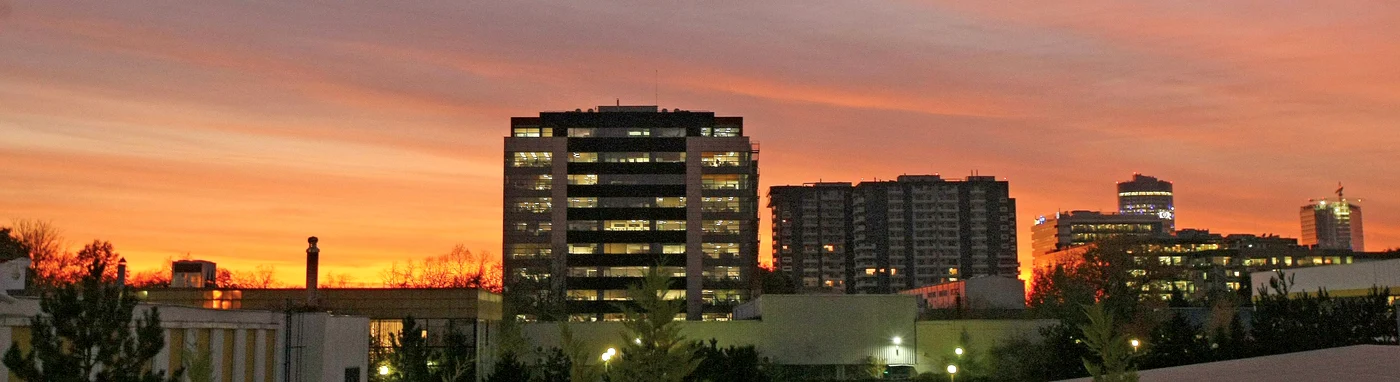 
    Claudiu, Carmen, Valentina, Vlad, Maria, Liliana, Andrei, Gabriel... Trupurile lor au fost conduse ieri pe ultimul drum de cei dragi. În Capitală au fost trei înmormântări. Seara, până şi cerul părea că suferă.   