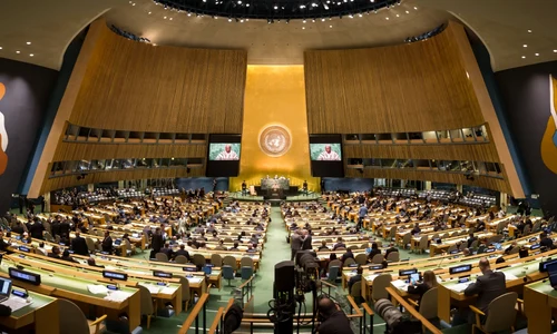Plen Natiunile Unite ONU FOTO Shutterstock