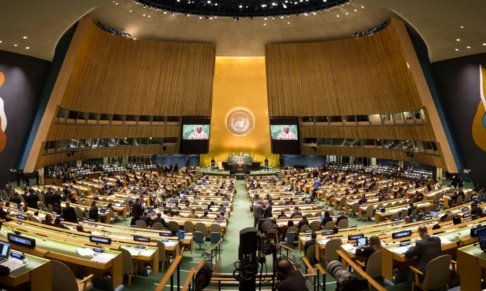 Plen Natiunile Unite ONU FOTO Shutterstock