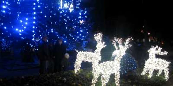 Iluminatul ornamental din acest an costă 150.000 de lei