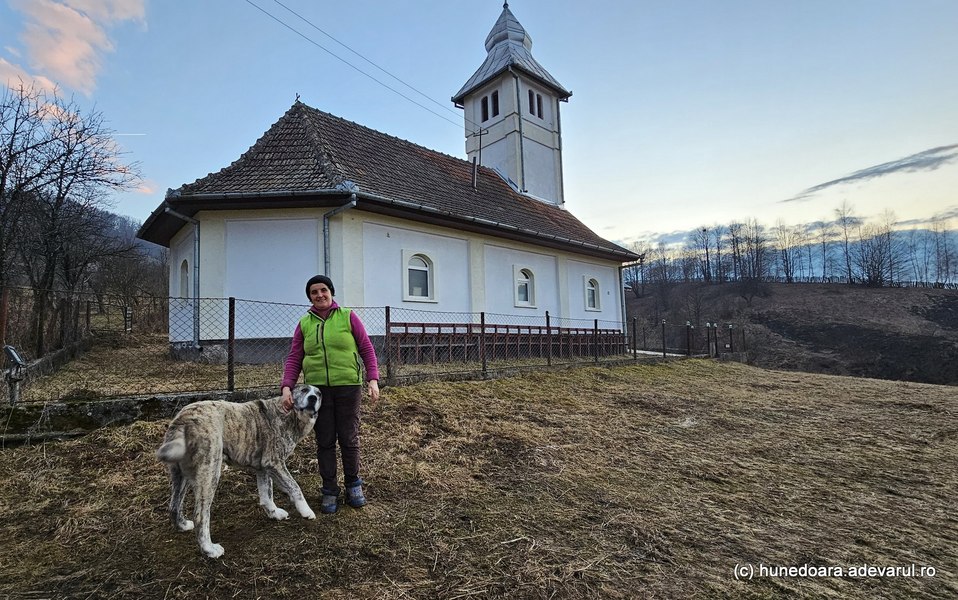 Viața dură în satul din munți, situat între două județe. Locul de poveste este încolțit de lupi și urși VIDEO