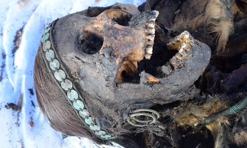 Rămășițele mumificate ale șmanei UsSergue1 (© Patrice Gérard / CNRS)