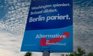 p 7 WC jpg