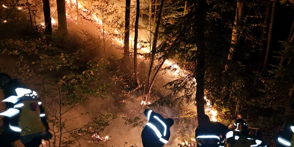 incendii de padure jpeg