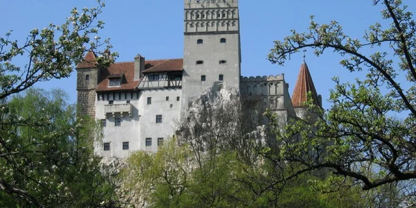 Castelul Bran, scos la licitaţie pentru o seară Foto: arhivă