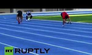 1 carreras de monos a cuatro patas en japon   1 jpeg