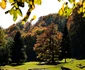 sarmizegetusa regia foto remus suciu