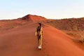 ana geoana desert jpg