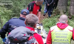 atac urs suceava png