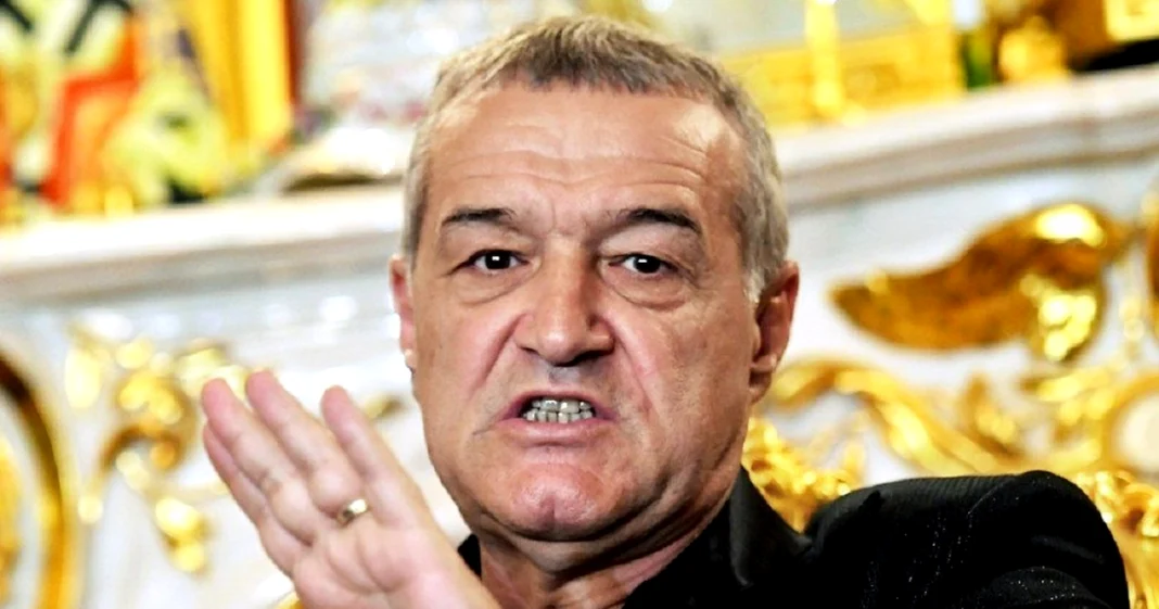 Gigi Becali s-a săturat și el de ce aude dinspre FRF. FOTO: Arhiva Adevărul