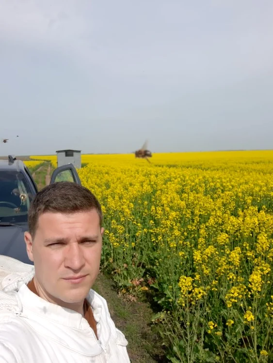 Selfie cu albina în lanul de rapițăFOTO Facebook