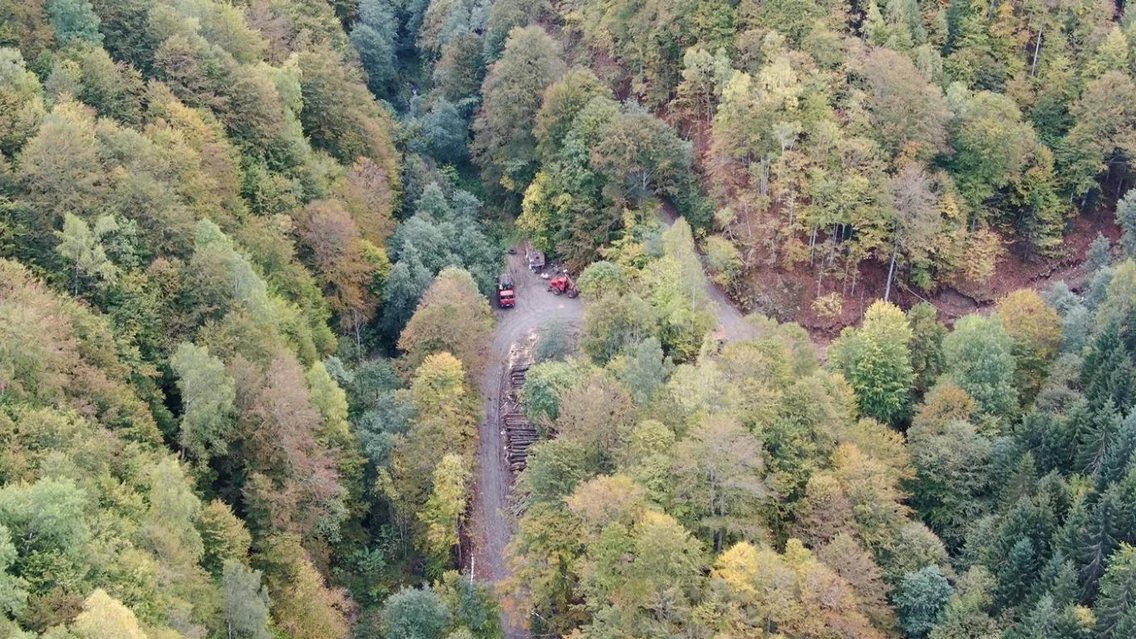 Agent Green a imortalizat activitatea forestieră în pădurile virgine din Munţii Făgăraş - din Boişoara Vâlcea Foto Agent Green