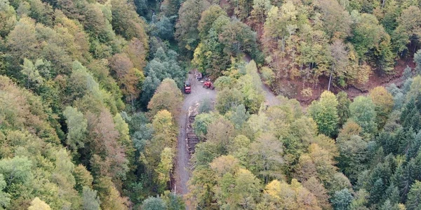 Agent Green a imortalizat activitatea forestieră în pădurile virgine din Munţii Făgăraş - din Boişoara Vâlcea Foto Agent Green